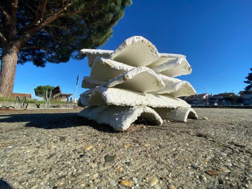 Les Cottages du Bassin d'Arcachon - image 2
