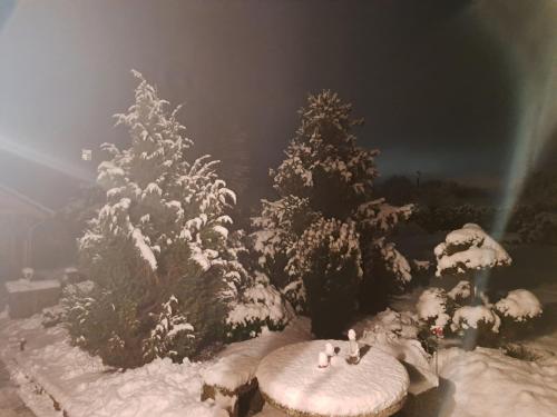 Pension Haus Monika - image 12
