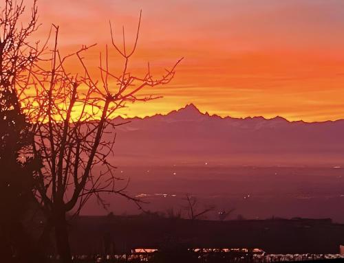 Just Langhe Casa Dolcetto