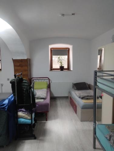 Hostel Antonia in Timisoara