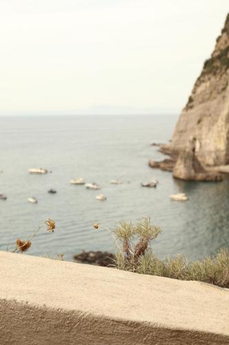 Angolo del Marinaio. Casa Vacanze a Meta di Sorrento