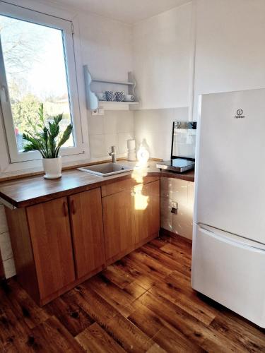 Bursztynek Łunowa (Bursztynek Lunowa) in Lunowo