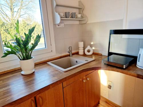 Bursztynek Łunowa (Bursztynek Lunowa) in Lunowo