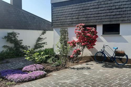 WalHOME: Hohes Venn, 3 Grenzen, Natur in Eynatten