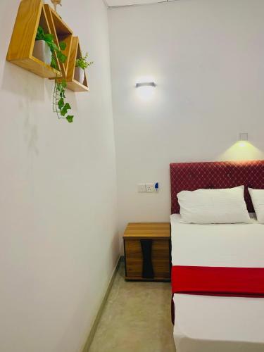 Standard Double Room image 7