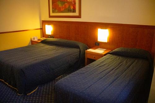 Pacific Hotel Fortino, Turín (foto 10)