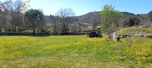 La Picholine chambre Provence in Courry
