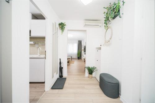티미쇼아라 Family Stay - Calliope apartment - By OpenHouse 4성급 싱글룸 레스토랑