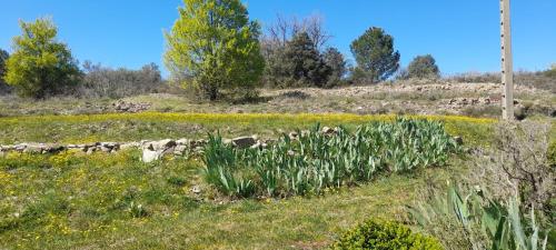 La Picholine chambre Provence in Courry