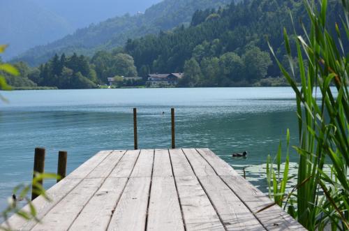 Double Room with Lake View with Balcony