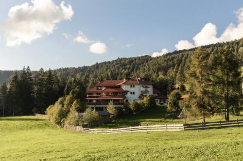 Berghotel zum Zirm - Hotel - Collalbo