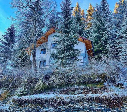Viesnīcas āriene, Villa Gusto, 3km from Pamporovo in Progleda