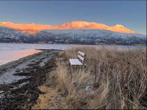 Secluded northern light apartment with great view! in Meistervik