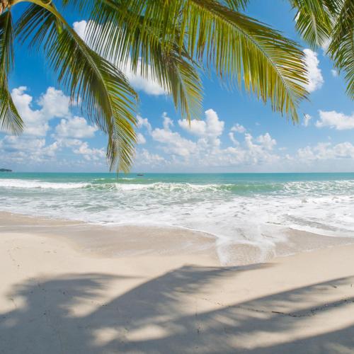 Ambiente nas Imediações, Charmante Maison 10min de la mer in Sainte Anne