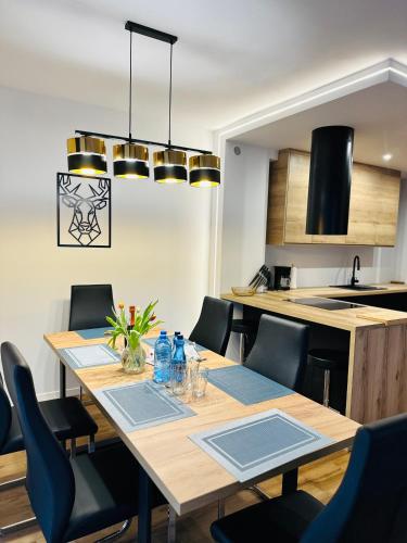 kuchyně, Apartmá (100 m²), pokoje: 1, vlastní koupelny: 1, destinace: Sosnowka (Apartament u Heleny ) in Sosnowka