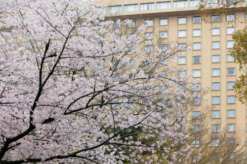 Nagoya Kanko Hotel photo 2