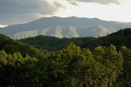 Enchanted Primrose Chalet #3709 Chalet in Sevierville, USA