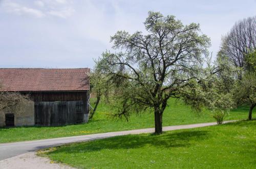 A környék, Ferienwohnung Kobelsberg in Aufseß