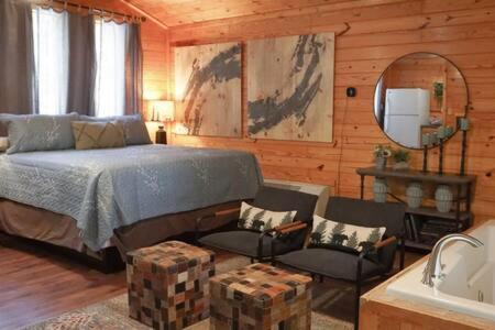 Cuddles 1 Bedroom Studio Walk to Downtown and Hiking Trails! - image 4