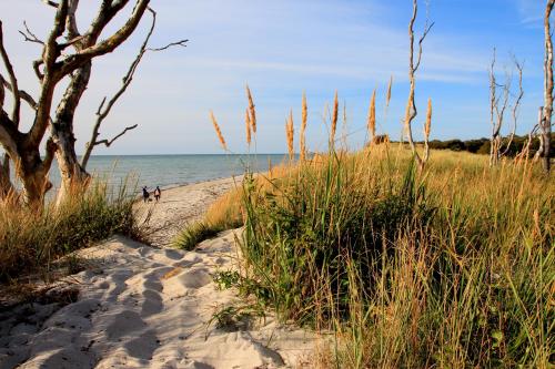 Ferienwohnungen Fründt - image 12