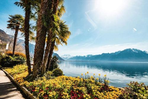 Studio 5 places à deux pas du Lac (Studio 5 places a deux pas du Lac) in Veytaux