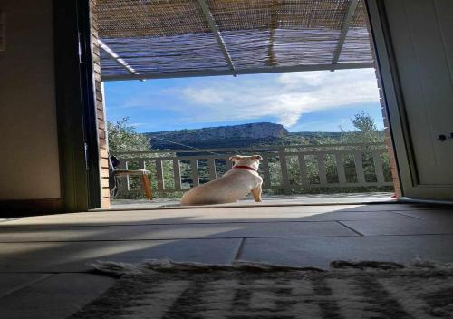 Elaia Rest House Elaia Rest House