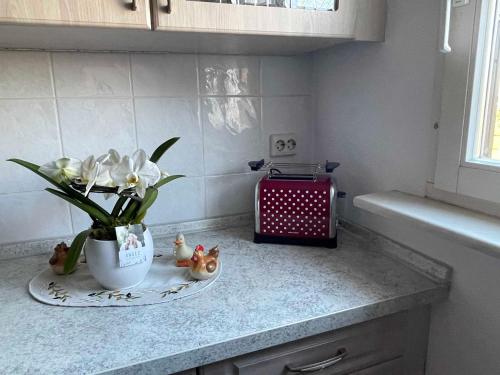 Ferienwohnung "Heidetraum" Sprotta in Doberschütz