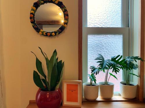 Charming flat in historic centre by Santa Maria, Bermeo (Foto 8)