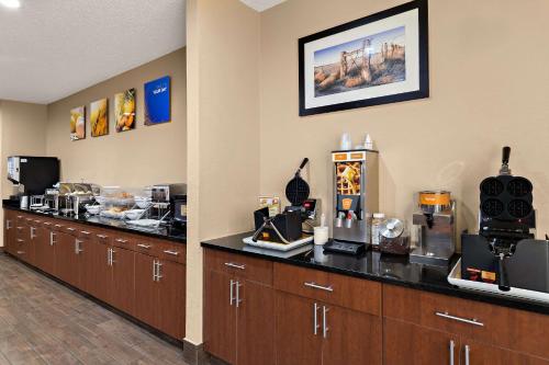 Comfort Suites University Las Cruces - image 6