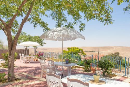 Villa 1000, Arad