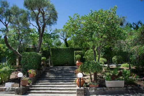 Mas Djoliba - image 7