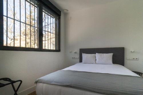 One-Bedroom Apartment image 6