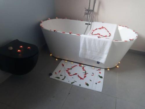 Chaya accommodation B&B and self catering in Mzuzu