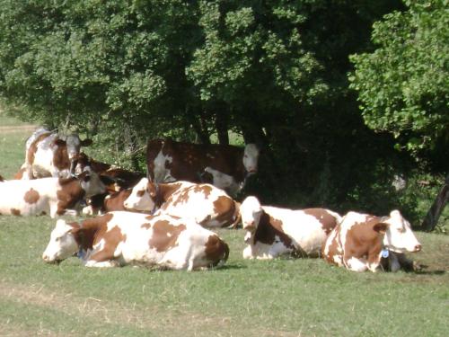 La ferme de la Velle