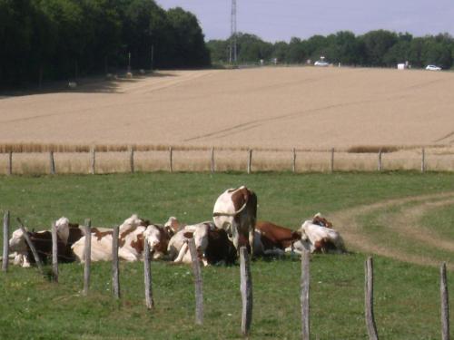 La ferme de la Velle