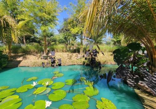 Surrounding environment, Smile Buffalo Resort สไมล์ รีสอร์ท in Manorom