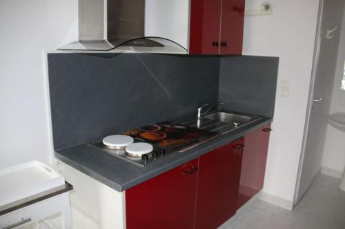 Studio 411, Port Nature 4 au village naturiste, Cap d'Agde (foto 4)