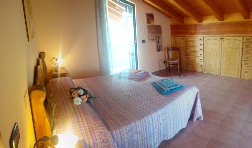 I Colori del Sole - image 4