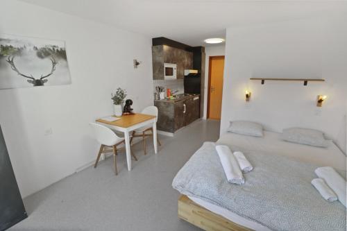 Studio charmant avec vue imprenable 11499084 Saas-Fee