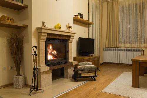 One-Bedroom Apartment with Fireplace - Pet Friendly