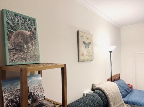Entire Unit in Penguin with Free Parking, Penguin (fotografie 3)