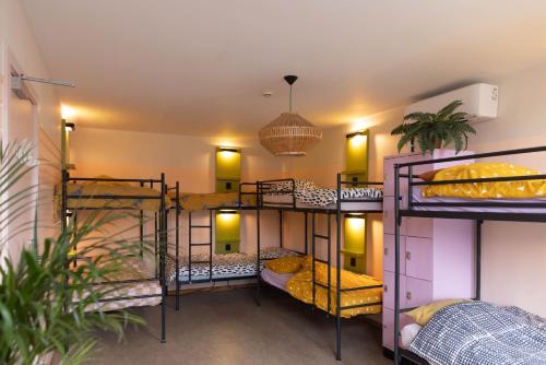 Hostel Ani&Haakien - image 12