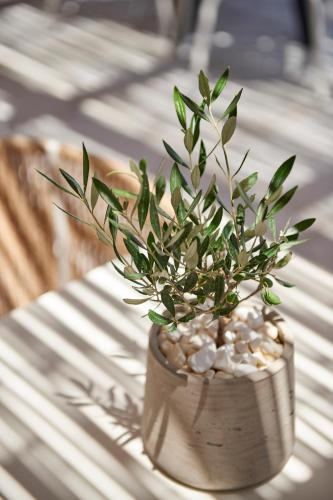 Summer Senses Luxury Resort Summer Senses Luxury Resort