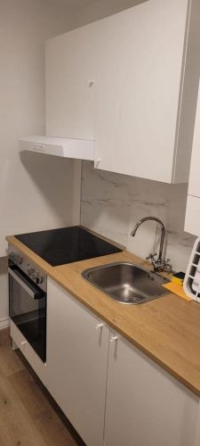 Zweizimmerwohnung Lisa 50 Quadratmeter, Hannover (fotografie 10)