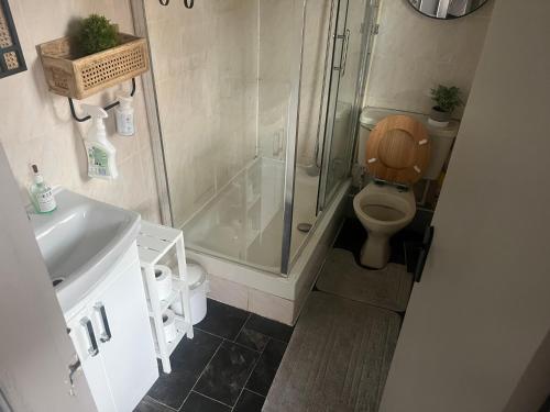 3 bedroom house in central Birmingham, Birmingham (fotografie 10)