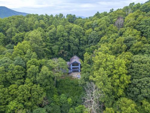 Blue Ridge Bliss Gorgeous home with hot tub & stunning views