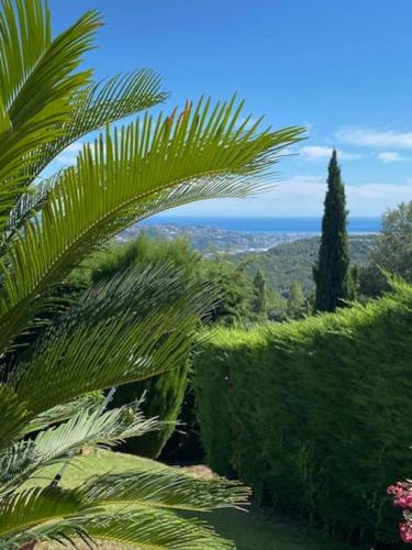 Villa magnifique vue mer piscine jardin pétanque