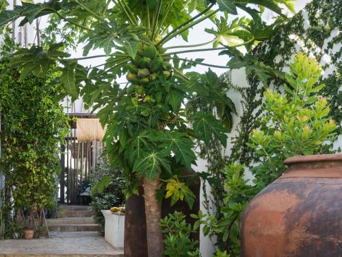 Altanure Almatere - Food Forest Boutique Stay 5