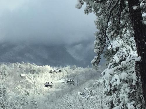 Roundtop Mountain Ridge in Sevierville, USA