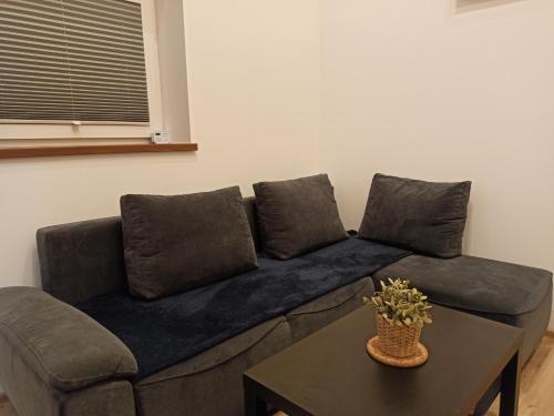 Mini house - apartament, domek do wynajęcia